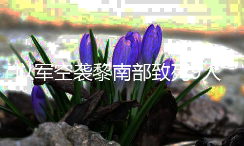 部致真主党用无人黎南人 空袭机和以军火炮回击死9