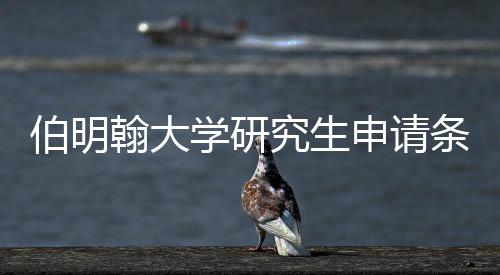 伯明学研需要哪些究生翰大材料条件申请