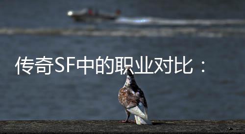 中的职业对比为为辛劳何法传奇师最