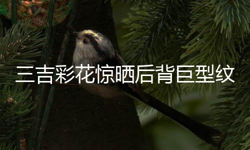 青师中国刺纹身惊晒巨型后背彩花操刀三吉