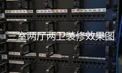 装修装修注意效果两厅两卫图 三室三室事项