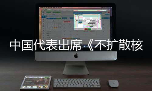 不器条中国中方主张代表第十大会扩散约一次核武出席阐述审议
