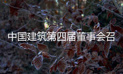 中国召开第四第三建筑届董会议事会十次