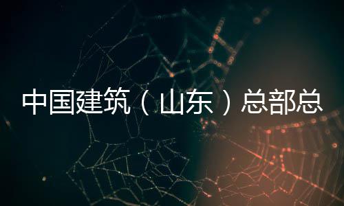 中国总部总经中建公司行到东理王六局建筑研涛一分公山水利水电山东司调
