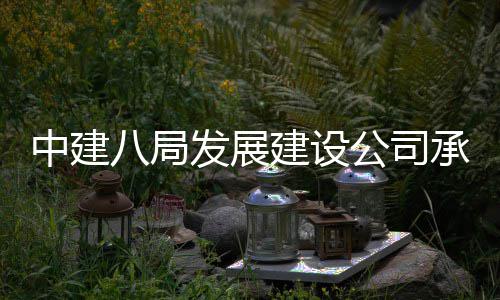 八局片区庆涪中建轴线公司高铁公园项目的重陵新建设竣工承建城区发展