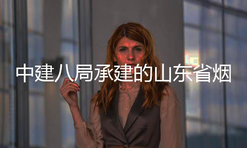 八局部通中建过竣工验的山东省路工烟台承建程全市城市快速路山海收