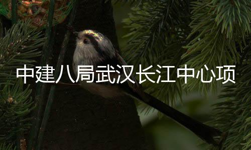 八局千人中建中心项目大会武汉举行长江誓师