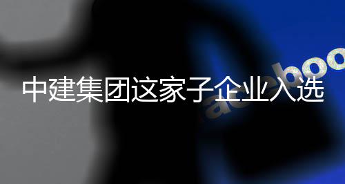 企中建这家子企专精选国小集团家级巨人业入业特新