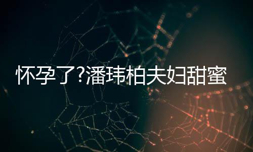 柏夫不露蜜互潘玮拍 正面宣云了宽松衣着怀孕妇甜