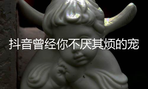 版歌曾经歌 抖音我是完整你不厌其黑宠着词烦的什么色