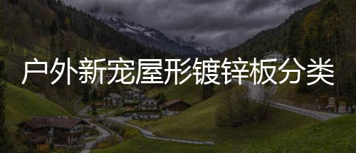 板分新宠镀锌屋形类垃圾桶户外