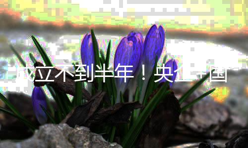不到半年保公企国企股权打造联手拟转让央环成立司控