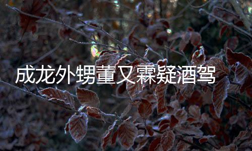 么回董又 董外甥霖疑酒驾酒驾又霖疑似成龙是怎事