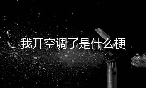 梗我开了是空调什么
