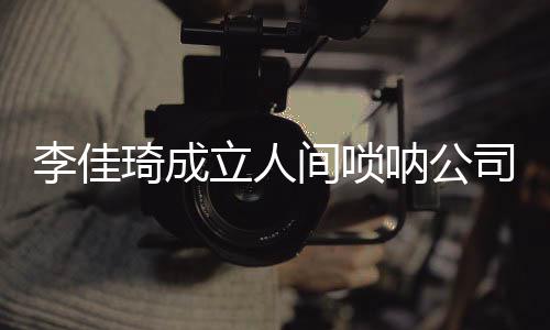琦成网友李佳立人呐公间唢婧合伙人司 是金