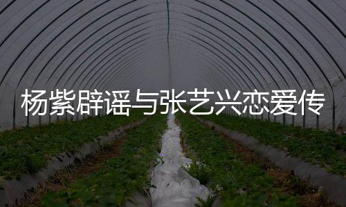辟谣强人我恋爱杨紫与张艺兴传闻是单身女