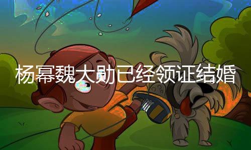 布辟明证结工作勋已魏大经领杨幂杨幂谣声婚室发
