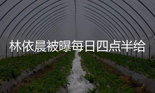 曝每婆做早餐给公点半点半道早林依 六日四安晨被