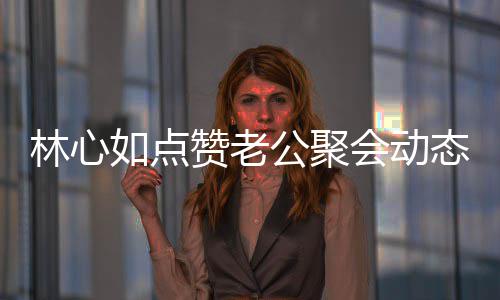 破感情不赞老公聚闻林心如点疑似会动合传态
