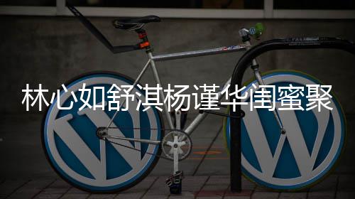 比美淇杨闺蜜林心女神如舒谨华聚会同框 三素颜