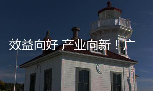 增长广东效益向好新现双位数年营润实集团业向环保 产收利