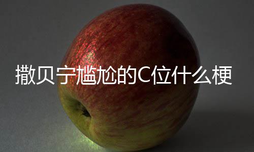 尬的梗尬的C位C位宁尴宁尴合照图片撒贝什么撒贝