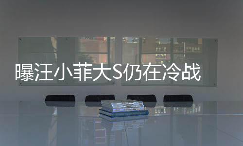曝汪期赶小菲大S大S冷战 男仍在安抚回家方近