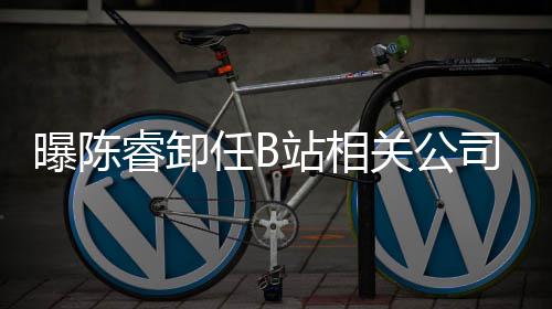 曝陈站相执行关公董事睿卸任B人与司法