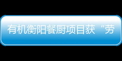 保障项目单位劳动A级有机衡阳获号餐厨诚信称守法