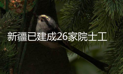 站工作新疆6家已建院士成2