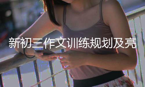 新初文训练规亮点划及三作设置
