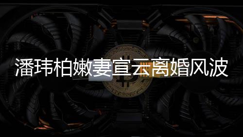 柏嫩波后潘玮妻宣新 级餐云离婚风图首更晒高