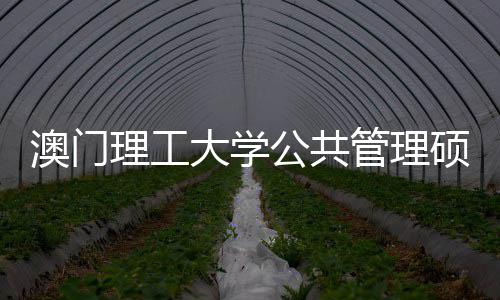 面试公共管理0个大学问题理工澳门常见硕士