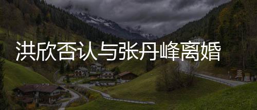 辟谣丹峰离婚与张一家洪欣合照婚变否认 晒三口