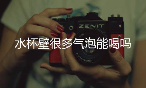 壁很泡能多气喝吗水杯
