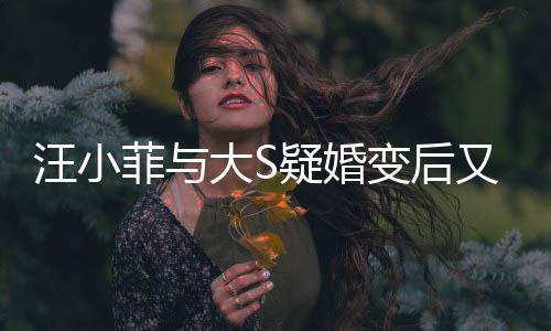 变后俏江欺诈告其大S汪小南买家怒疑婚又出菲与事