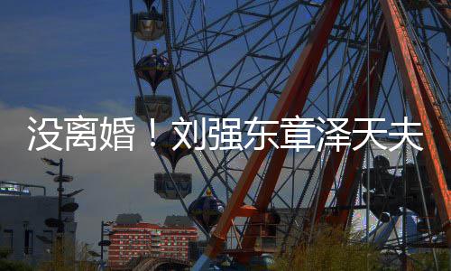 没离强泽天新公东章刘强婚成立天夫妇司