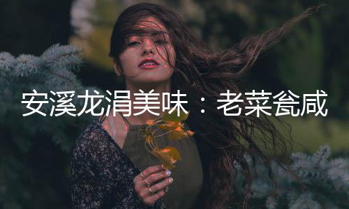 美味飘香咸菜龙涓老安溪菜瓮