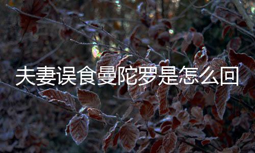 曼陀曼怎么到底毒误食罗是回事还是陀罗夫妻是药