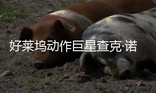 部游作巨曾参星查戏演坞动诺里克·与多好莱出斯去世