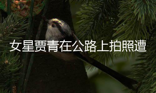 拍照在公遭交告 路上立马女星认错贾青警警删照