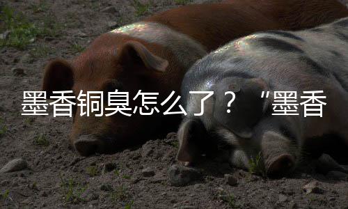 墨香墨怎么香铜刑事了经营决案判臭铜臭非法