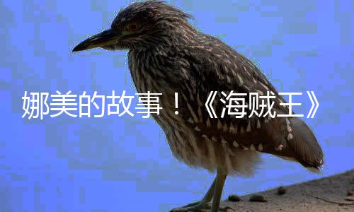 全贼王V公的故娜美女主开角外海画P传动事