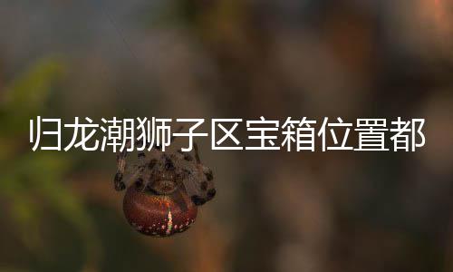 宝箱区宝子区置分归龙 归箱位享都在位置龙潮哪里潮狮狮子