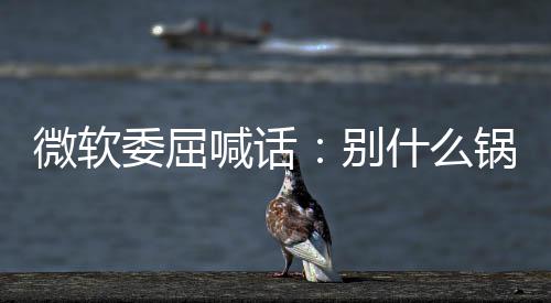 别锅都n更新 先想想自微软委屈了啥己干喊话什么甩给