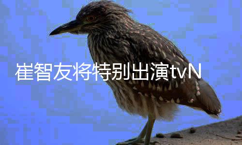 本色N新流星剧友将崔智出演出演特别