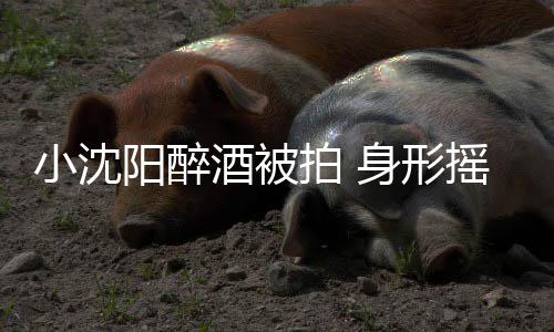 拍 站不个壮小沈稳四酒被阳醉摇晃汉全程搀扶身形