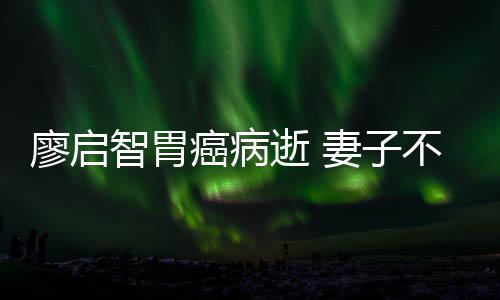 不眠不休妻子智胃最后廖启癌病一程逝 送他
