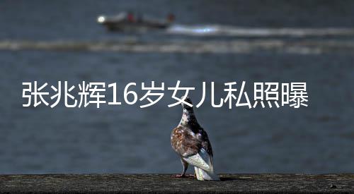 曝光张兆 撞最美港姐脸李女儿嘉欣辉16岁私照
