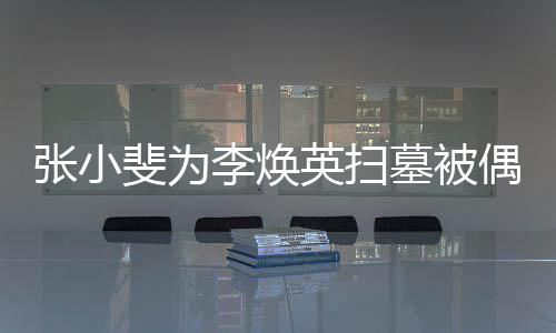 墓被张小丹全李焕偶遇 姐姐贾英扫程接斐为送